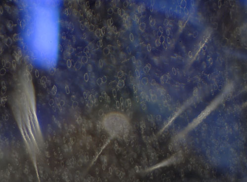 crop circle inclusions