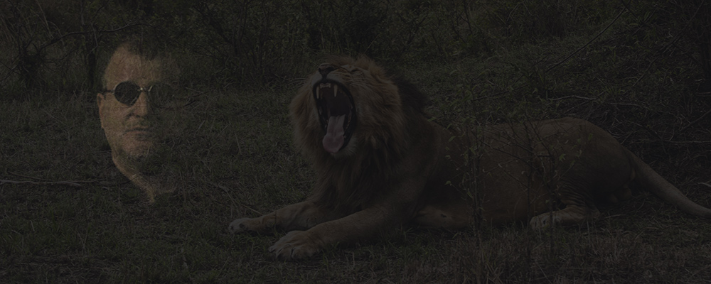 Emerald treatments • Opticon vs. Oiling • Catfights