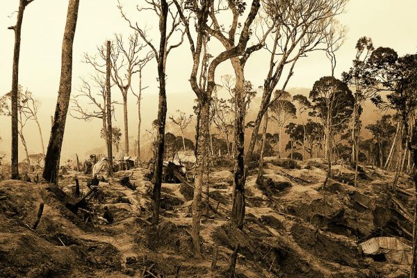 Mining pits above Moramanga