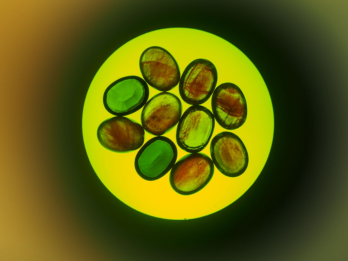 Figure 3. When viewed through the Chelsea filter, the new-generation cobalt-glass filled sapphires showed a strong red reaction. As the above photo demonstrates, the red color is concentrated in the fissures filled with the cobalt-colored glass. Natural, heat-treated, Ti-diffusion treated and synthetic sapphires will not show red through the Chelsea filter. The two stones in the above photo without red are Verneuil synthetic sapphires. (Photo: Lotus Gemology's Richard Hughes).