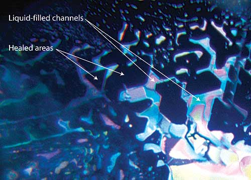 Figure 1.  Anatomy of a healed fracture A well-healed fracture in a sapphire lying roughly parallel to the basal plane. The healed areas appear dark, while the undigested fluids are highly reflective. Note that the pattern of healing relates to the underlying crystal structure, with angles of healed areas following the underlying crystallographic structure (in this case, at 60/120°). Photo © Richard W. Hughes
