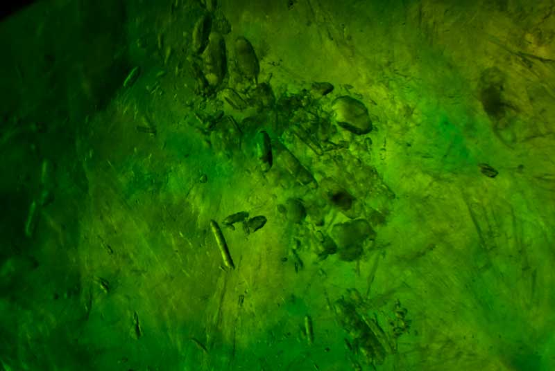 A cluster of zircon inclusions in jadeite jade