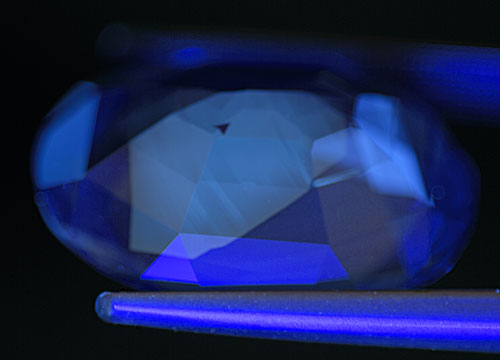 Untreated SW fluorescence