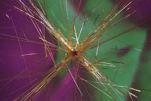 Pickup sticks Like the forces of creation captured milliseconds after combustion, twinned rutile explodes amidst a matrix of interference colors. Quartz, page 631.