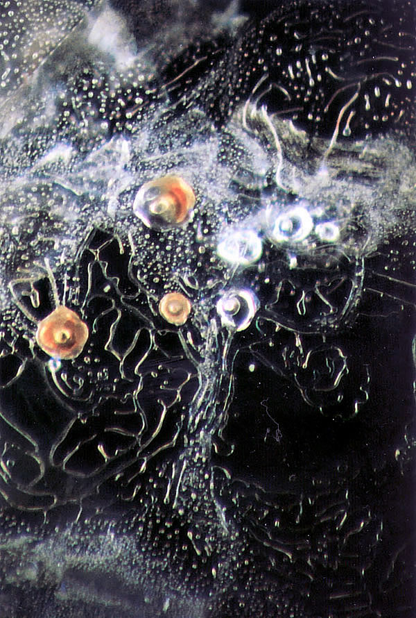 Inclusions in Sapphires From the banal to the bizarre, the latest Photoatlas covers the entire gemological waterfront, as this scene from a heat-treated Montana sapphire shows.