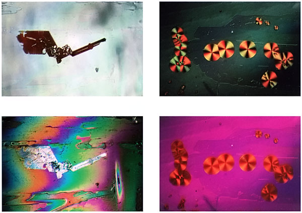 Inclusions in Fluorite Volume 3 of the Photoatlas also covers the inclusions of less popular gems, such as fluorite.