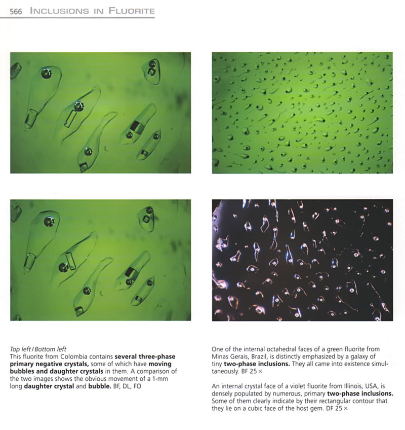 Inclusions in Fluorite Volume 3 of the Photoatlas also covers the inclusions of less popular gems, such as fluorite.