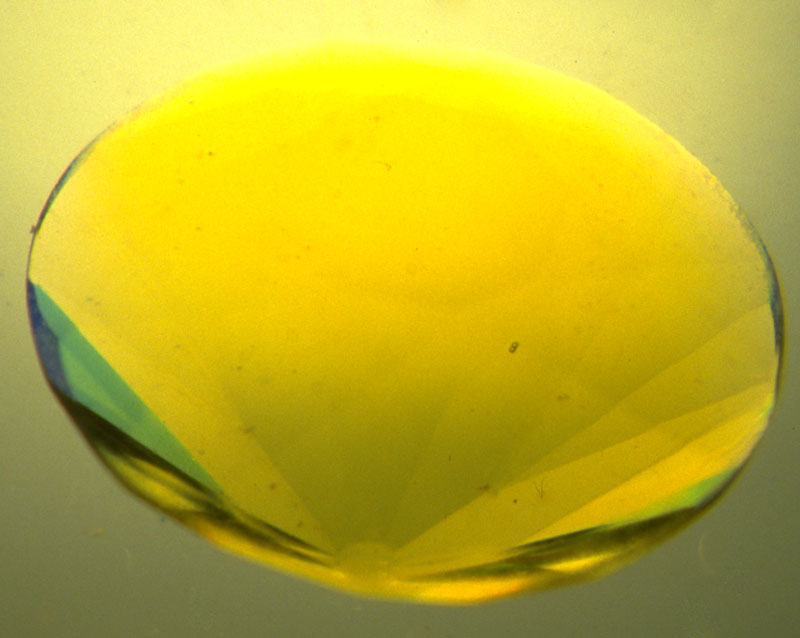 Figure 3. Power to the people  The power of this technique is clear in the above two photos. Photos: © Richard W. Hughes