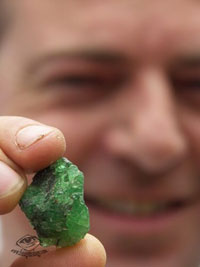 \Mark Saul Eric Saul