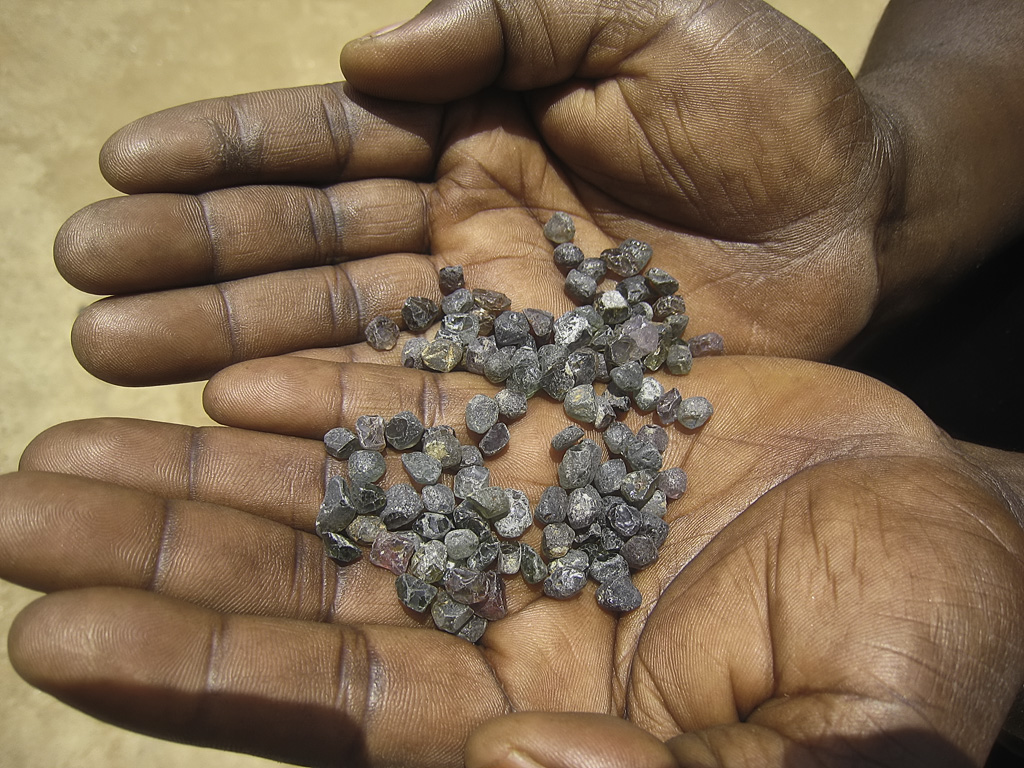 Rough Songea sapphire. Much of this material will be treated with beryllium in Thailand. Songea stones tend to be grayish green in color, with the occasional purple and yellow stone, along with some ruby. Most of this material is destined for beryllium treatment. Lotus Gemology.