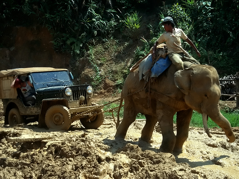 Until recently, the only way Hpakan could be supplied was by convoy -- fifty or more trucks – along with a large helping of Burmese military might. Although fighting between the Burmese army and the KIA is now over, the struggle continues. But today, the enemy is nature, as this photo of the "good" road between Mogaung and Hpakan shows. Some trucks along this road had been stuck in the same spot for ten days.
