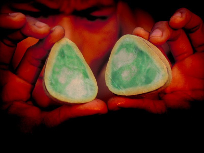 Sectioned jadeite boulder on offer in the jade market at Hpakan