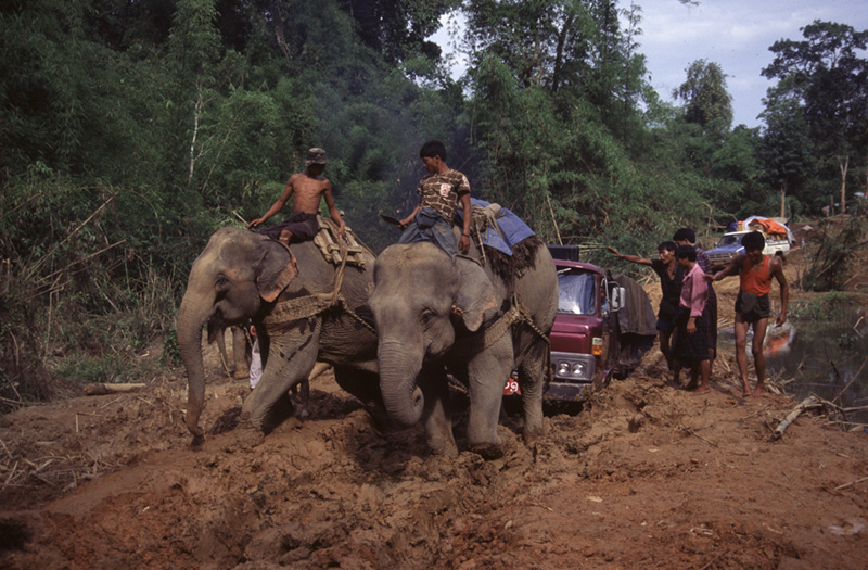Just add water In the dry season, the Hopin-Hpakan road is relatively benign, but a bit of rain turns this into an impassible obstacle (see inset for the exact same spot in the rainy season). Inset: Andy Kaufman's paradise Elephants shriek and strain to pull a stranded truck from the mire of the Hopin-Hpakan road during the rainy season.