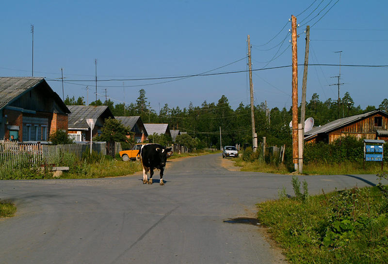 Top:&nbsp;The small village of Malysheva, perches on the very edge of the large open trench (just beyond the trees in the background). 