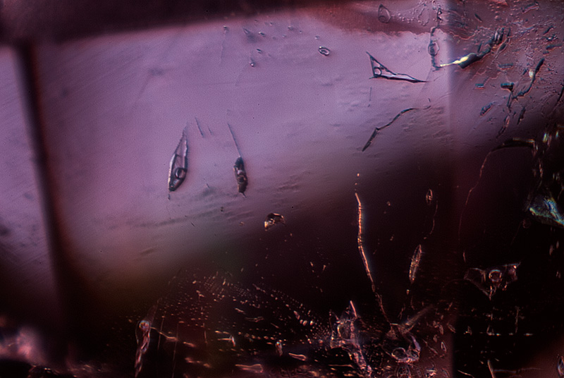 Two-phase negative crystals in an alexandrite from Malysheva, Russia.&nbsp;Specimen courtesy of Tsar Emeralds Corp.; photomicrograph © John I. Koivula/microWorld of Gems