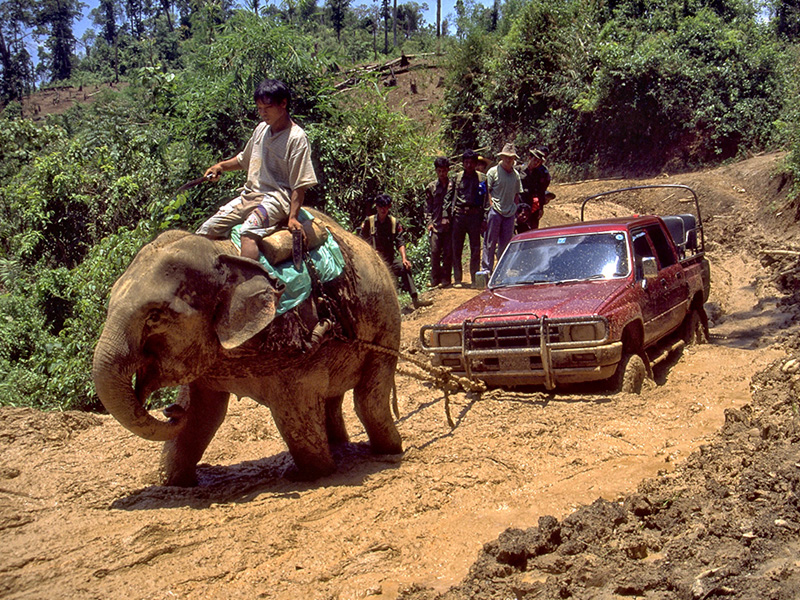 Until recently, the only way Hpakan could be supplied was by convoy-fifty or more trucks-along with a large helping of Burmese military might. Although fighting between the Burmese army and the KIA is now over, the struggle continues. But today, the enemy is nature, as this photo of the "good" road between Mogaung and Hpakan shows. Some trucks along this road had been stuck in the same spot for ten days. So high is the demand for transport to Hpakan that the owner of this truck made back the truck's purchase price within six months.