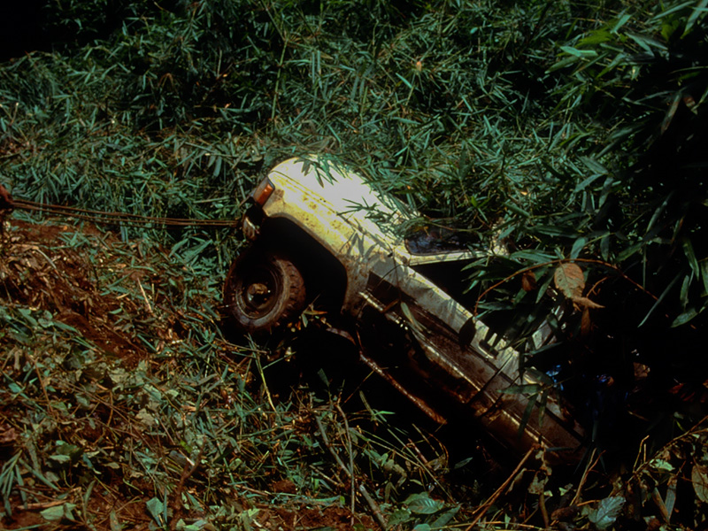 One victim of the road into Jadeland