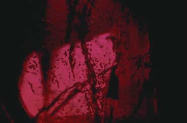 Mong Hsu, Mong Hsu ruby, flux healing, glass filling, Burma ruby, heat treatment, gemology