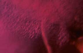 Mong Hsu, Mong Hsu ruby, flux healing, glass filling, Burma ruby, heat treatment, gemology