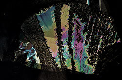 Fingerprints & Crystal Symmetry • Inside Out