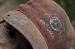 Last Thai Ruby Miner • Red Sky at Dusk