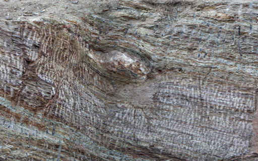 An indication of the difficulty of tsavorite mining comes in the form of this large "bogus" porphyroblast (approx. 50 centimeters by 30 centimeters) seen in Tsavo area; all eyes or potatoes are not full of tsavorite. Photo: V. Pardieu/Gübelin Gem Lab, 2007.